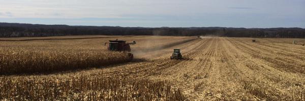 tylerlund Profile Banner