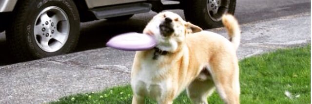 Lausppp's profile banner image