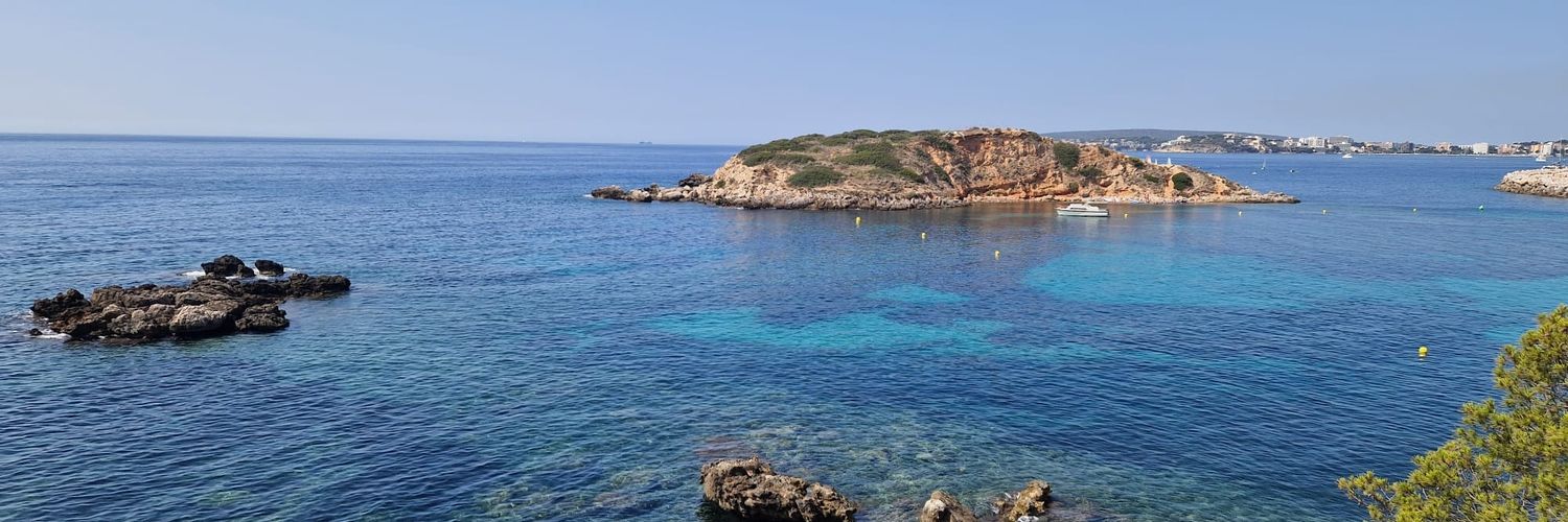 Lauren Millward (Heaton) banner