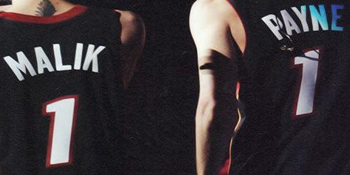 ZiamFanarts's profile banner image