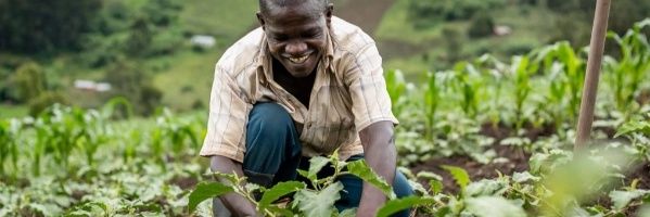 Hunger Fighters Uganda banner