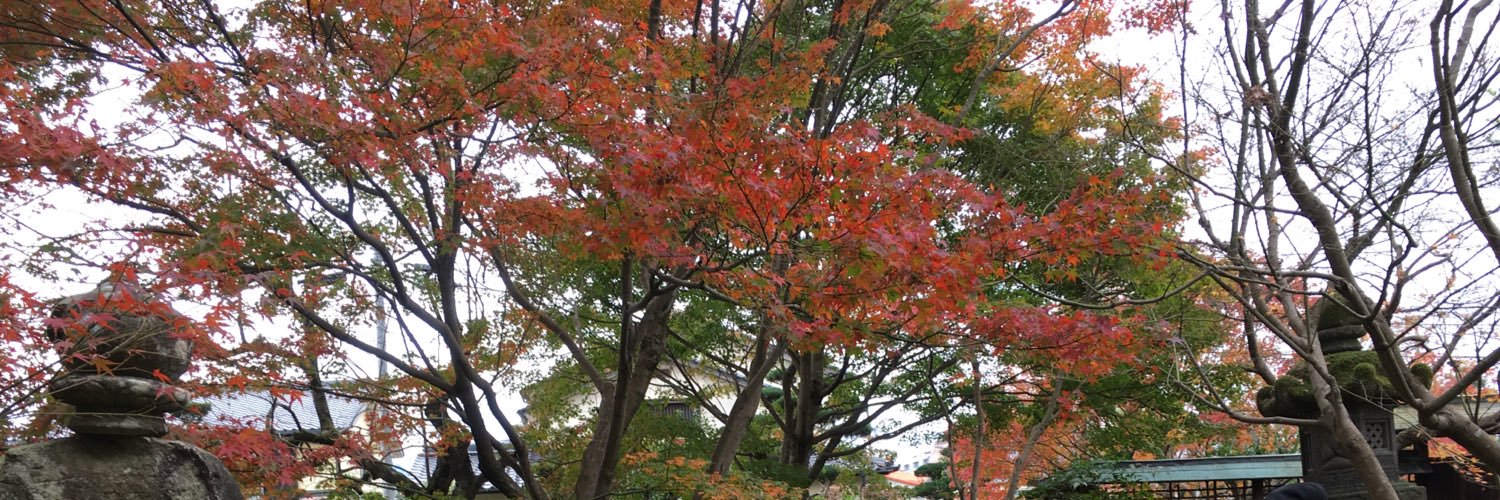 wind_yogur's profile banner image