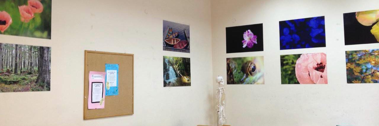 Bio1415's profile banner image