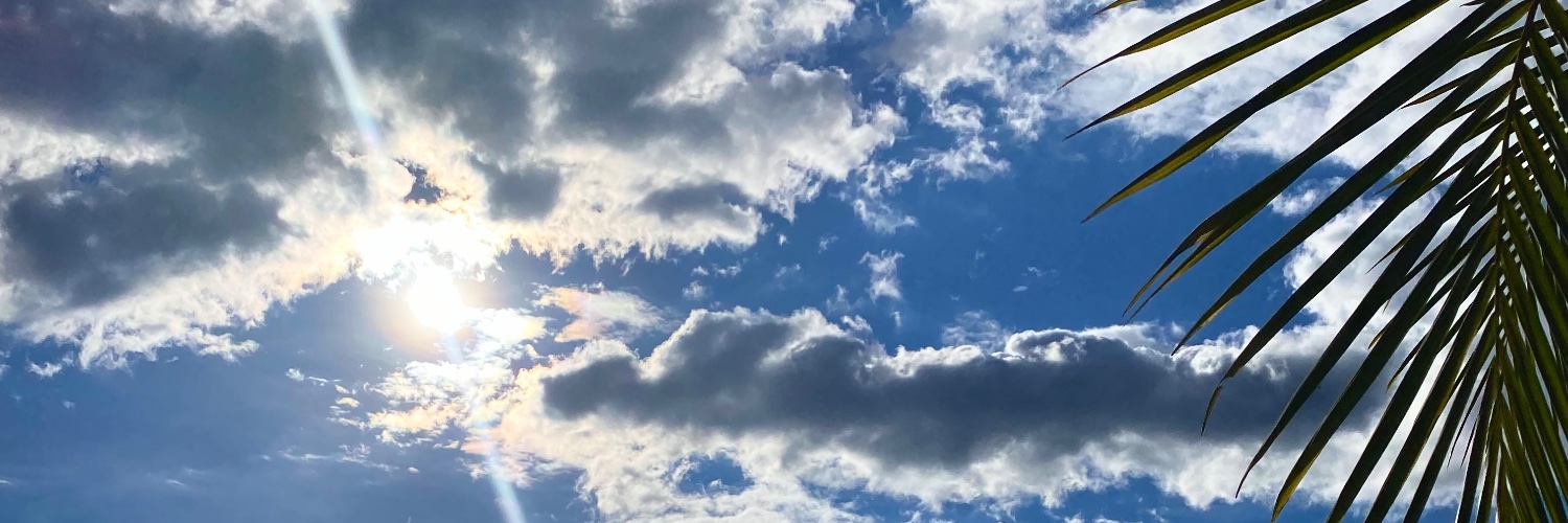 Carolinalopez66's profile banner image