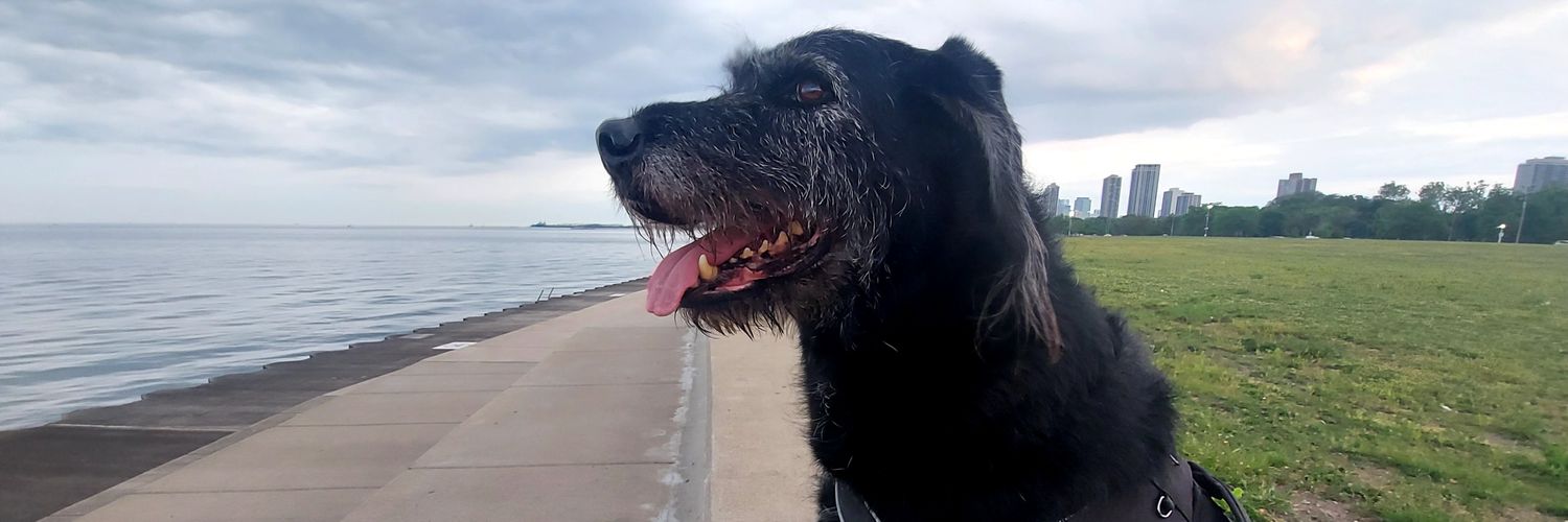 Jess 🏳️‍🌈💖💜💙 banner