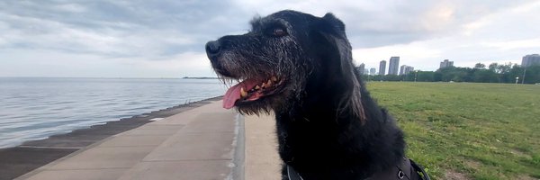 jawska Profile Banner