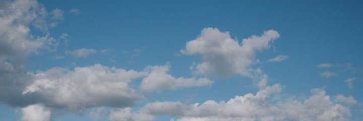 mari banner
