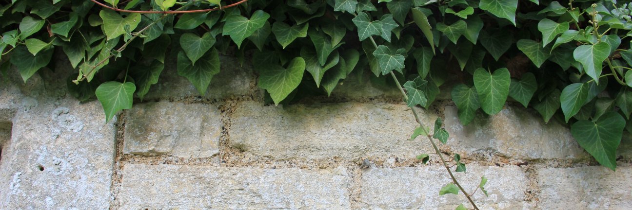 Yarnton Manor banner
