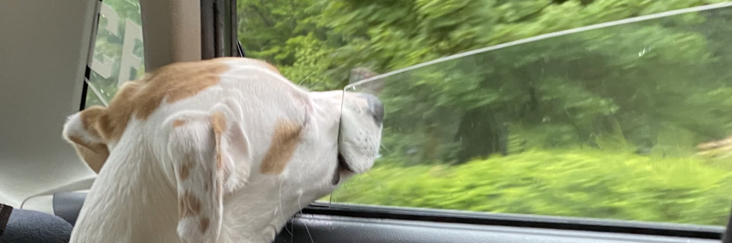 okemilyyy's profile banner image
