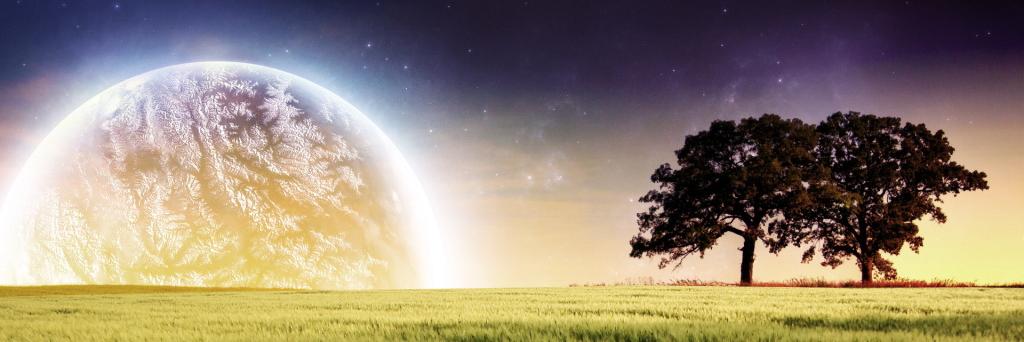hnurul1's profile banner image