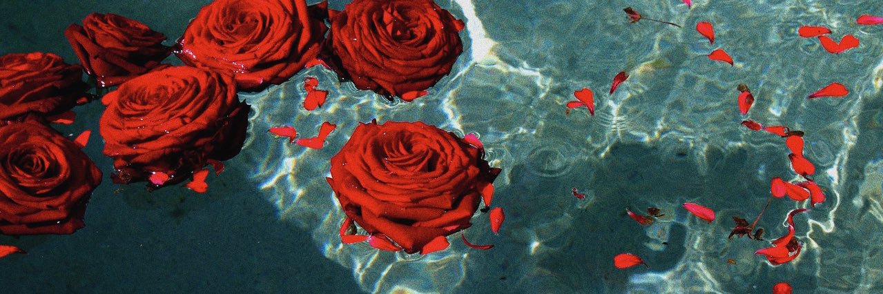 davidalvess__'s profile banner image