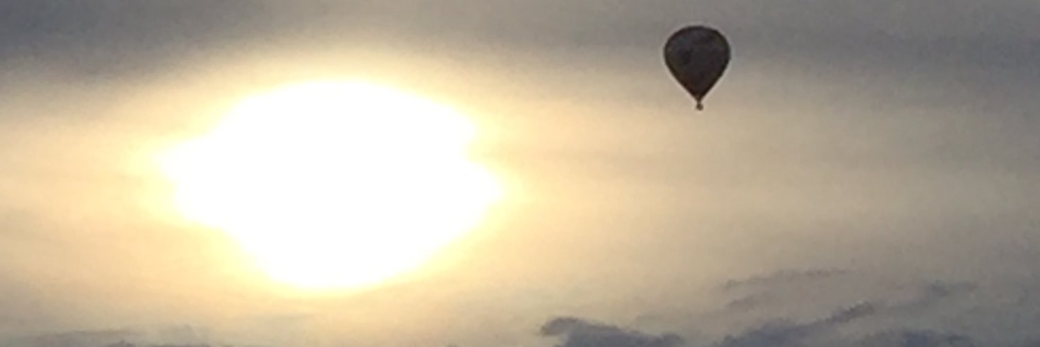 Jörg Kühne-Hallbauer banner