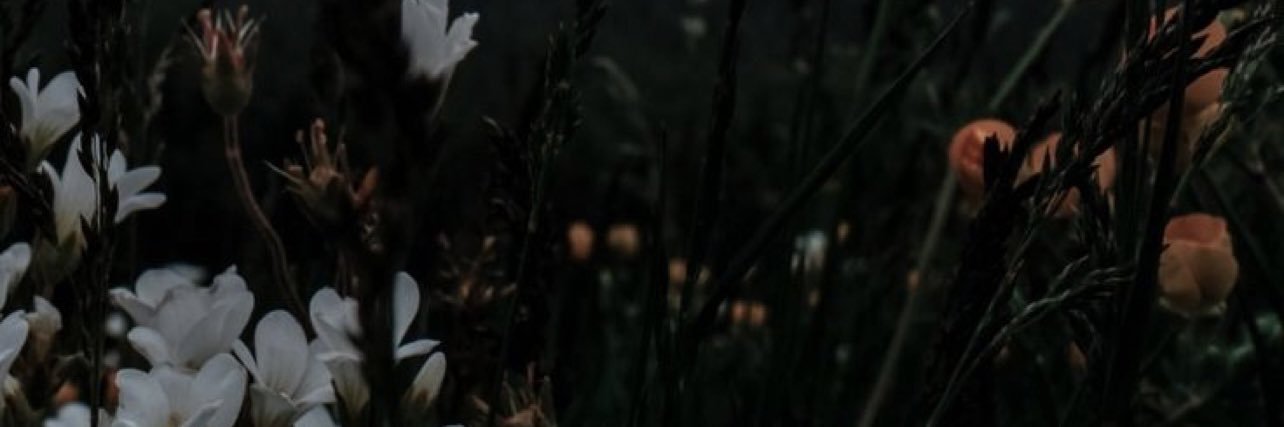 ElizabethFaye_'s profile banner image