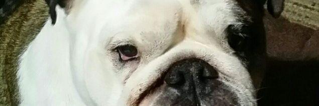 MundyKev's profile banner image