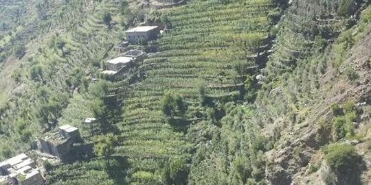 AlsamieAref's profile banner image