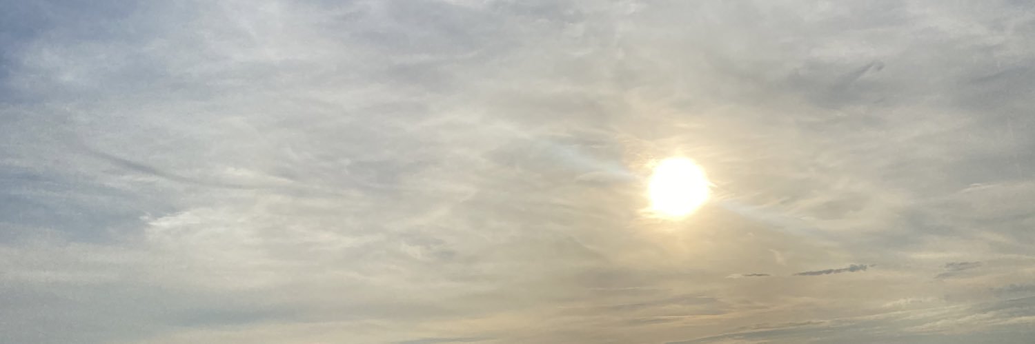 jeylayna's profile banner image