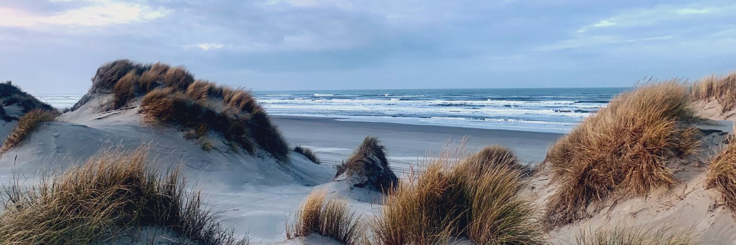 René Steenhorst ✏ banner