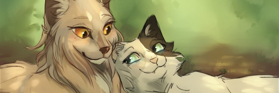 MiniToffs's profile banner image