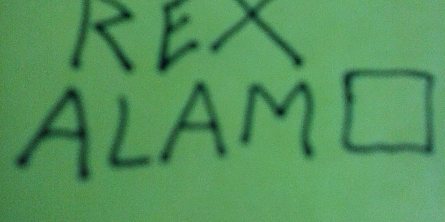 RexAlamo's profile banner image