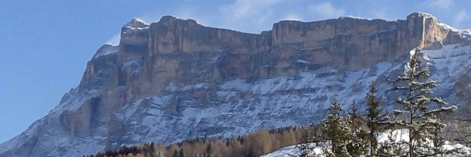 Chiara Venier banner