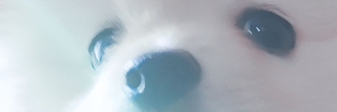 JordanMayu's profile banner image