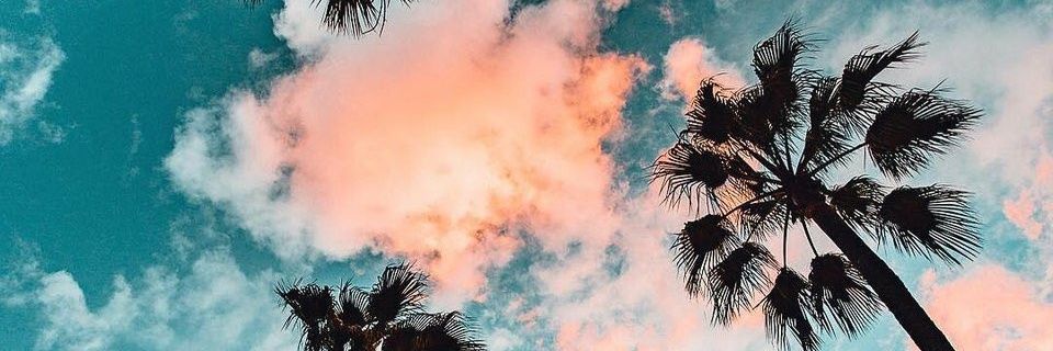 lau13bracho's profile banner image
