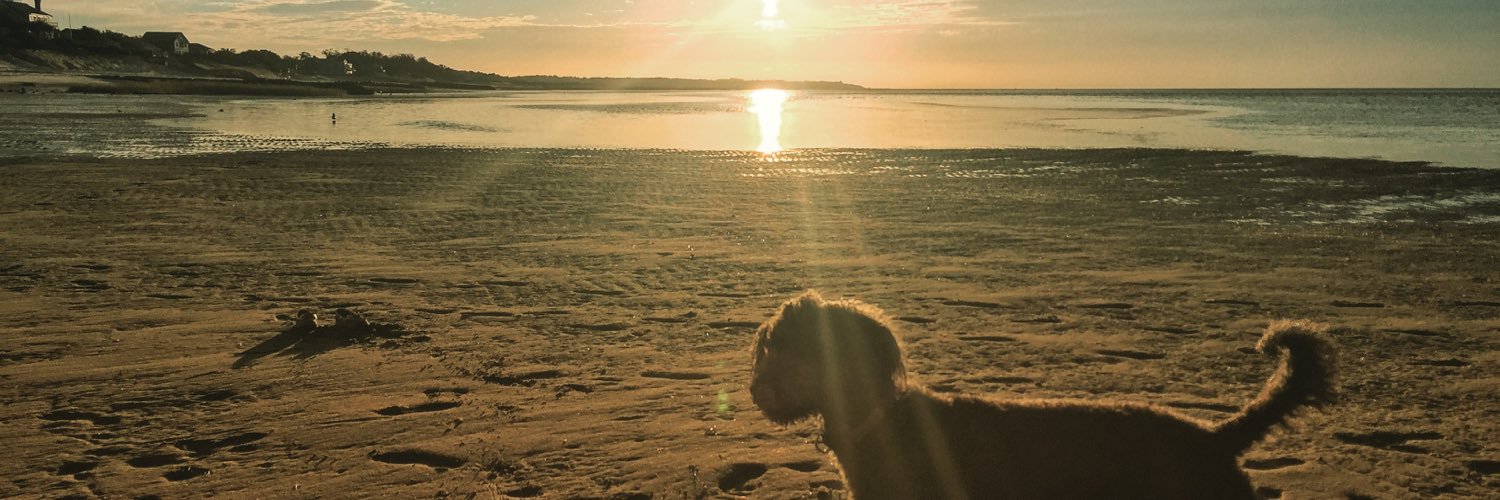 urtzicle's profile banner image