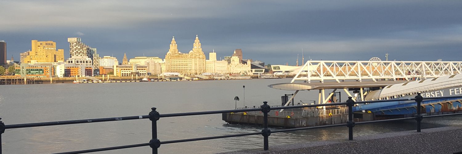 LibDemVicks's profile banner image