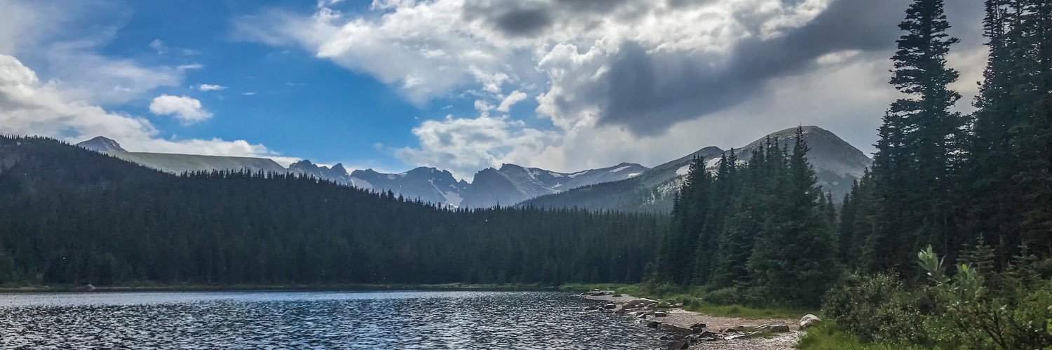 Jennifer Arnold banner