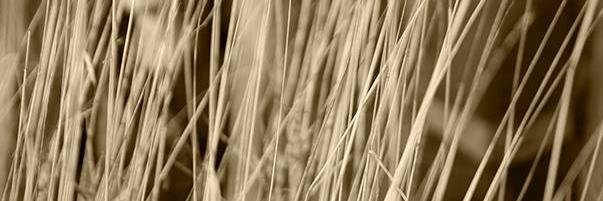 bailinhey's profile banner image