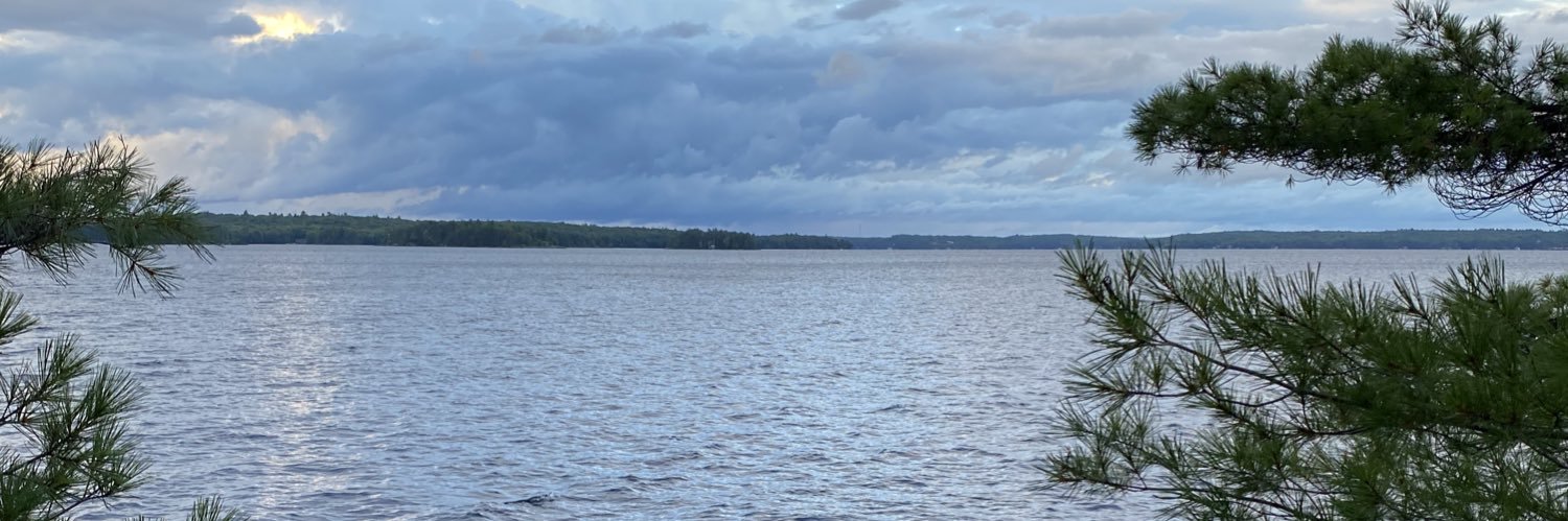 Erikastyle's profile banner image