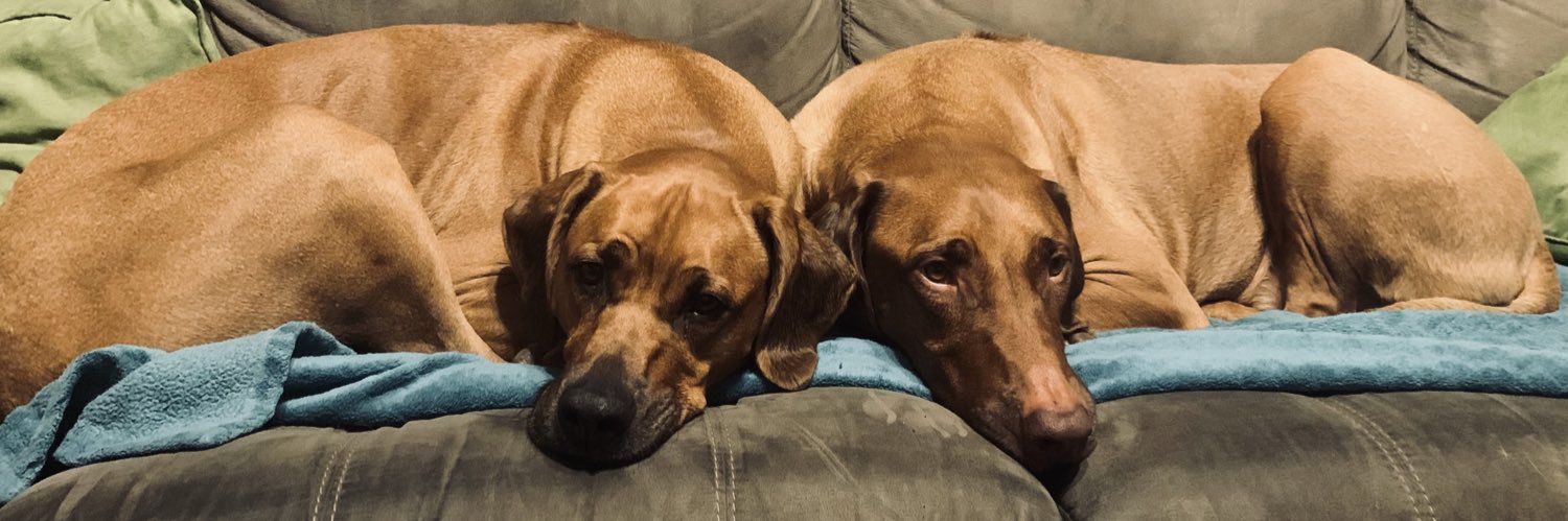 mrsmisto's profile banner image
