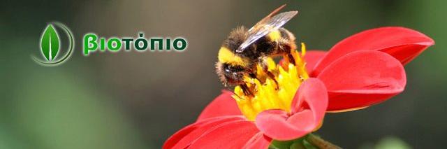 biotopio's profile banner image