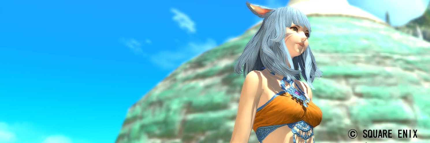 SinRedfox12's profile banner image