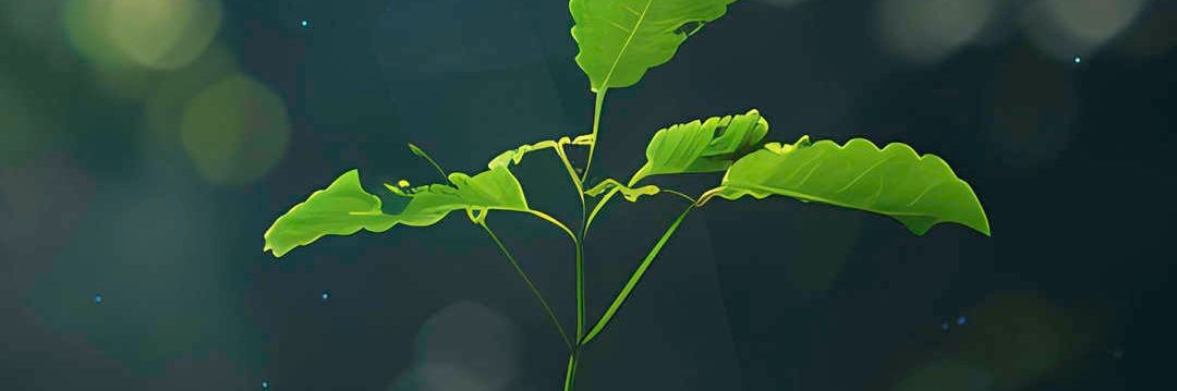 AdieSamuel4's profile banner image