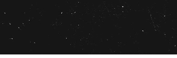 Night Terrors banner
