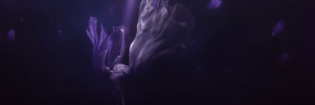 EmperorDrizzt's profile banner image