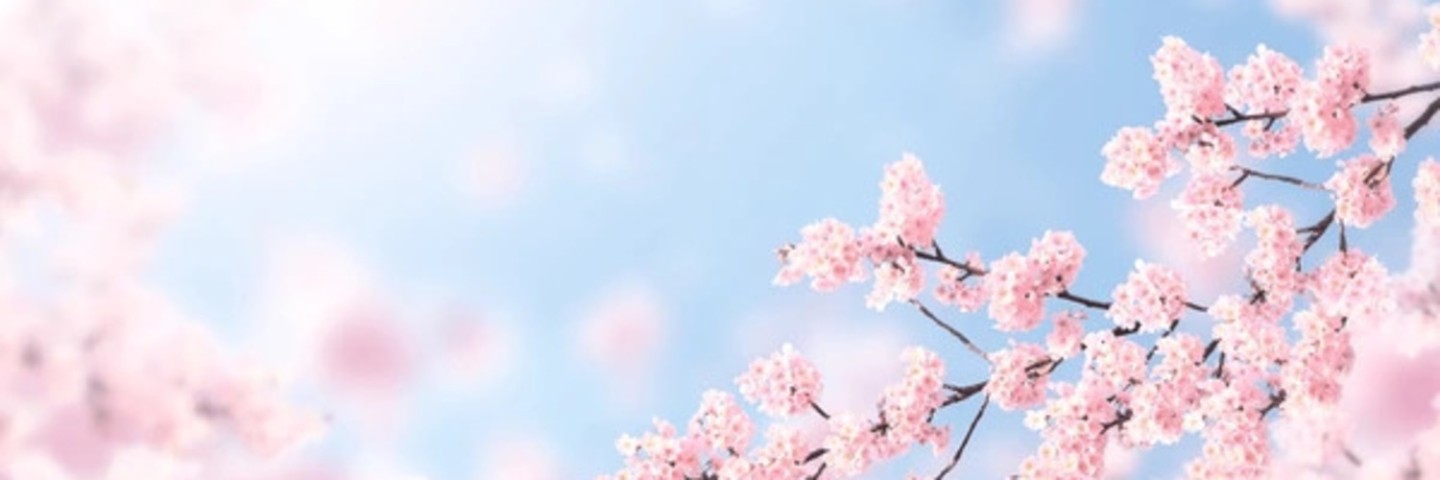 Gs11Kur's profile banner image