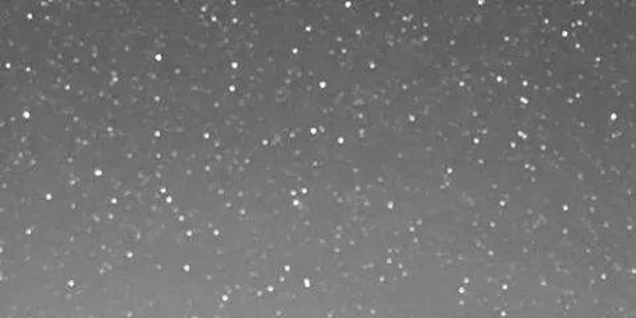 LeyendasR's profile banner image