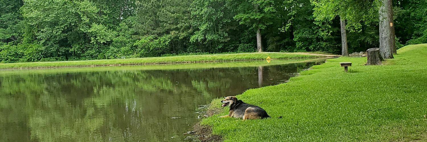 MonteBasset's profile banner image