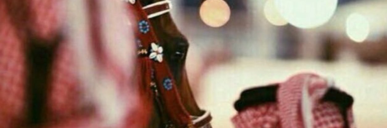 0_0ali00's profile banner image