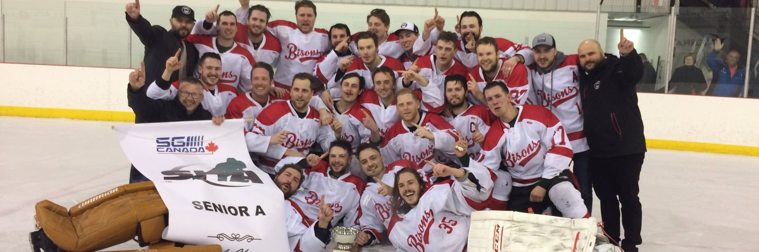 Balgonie Bisons Hockey Club banner