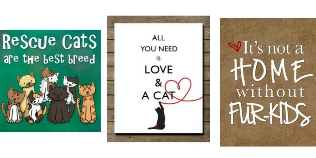 PAWSforAdoption's profile banner image