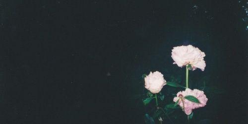 formifede's profile banner image