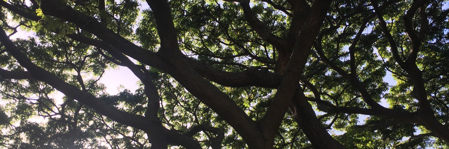 DrJeffHowlin's profile banner image