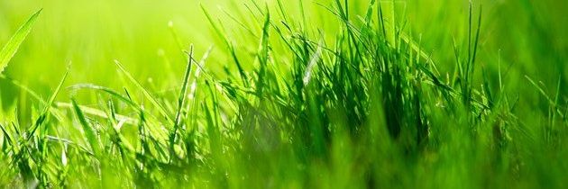 clearyturf's profile banner image