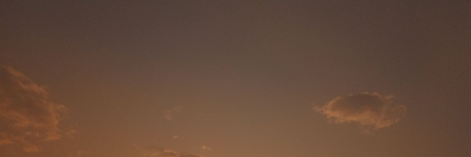 vmenecesok's profile banner image