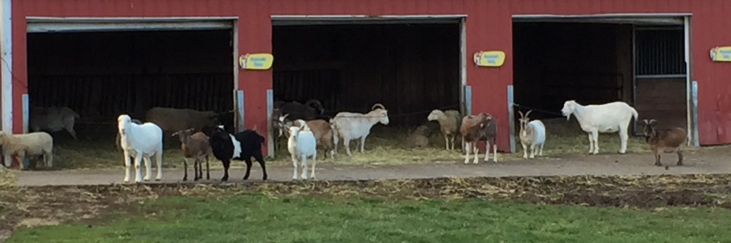 LollypopFarmPro's profile banner image