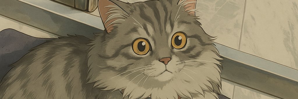 dilaracablog's profile banner image