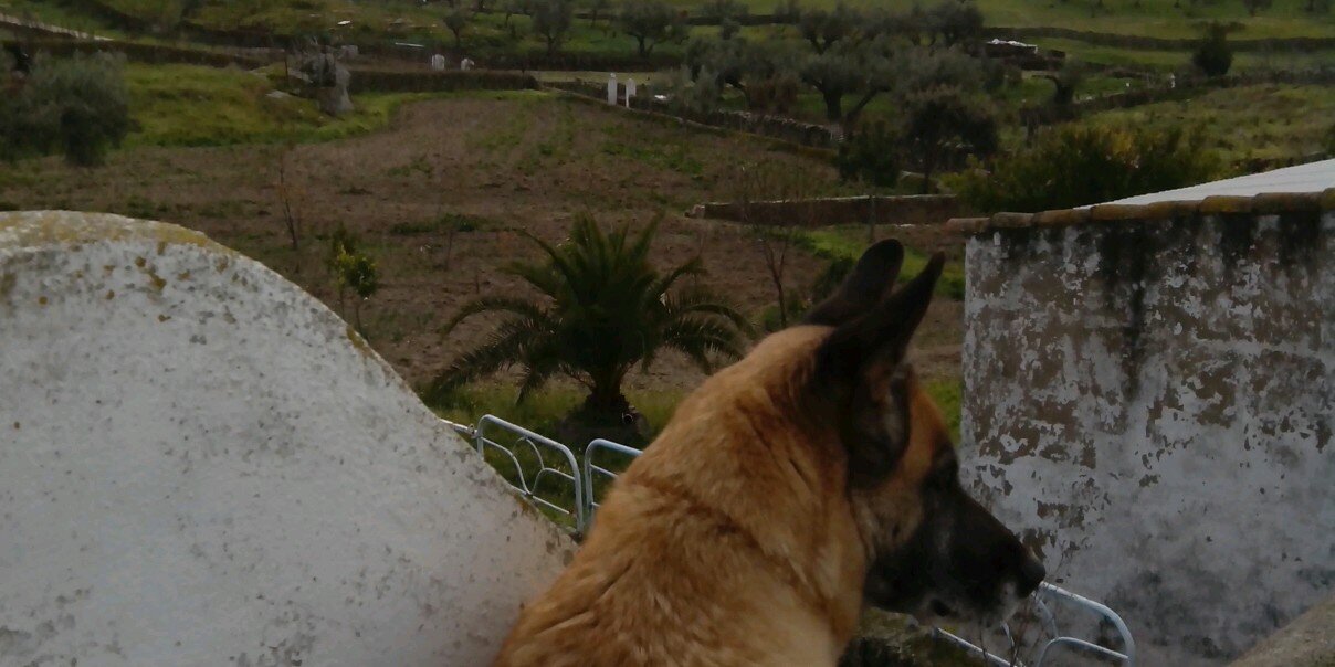 davidaacedo20's profile banner image